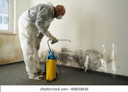 Best Mold Odor Removal Services in Port Edwards, WI